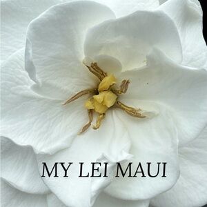 Aloha, formerly lubdub6 now MyLeiMaui